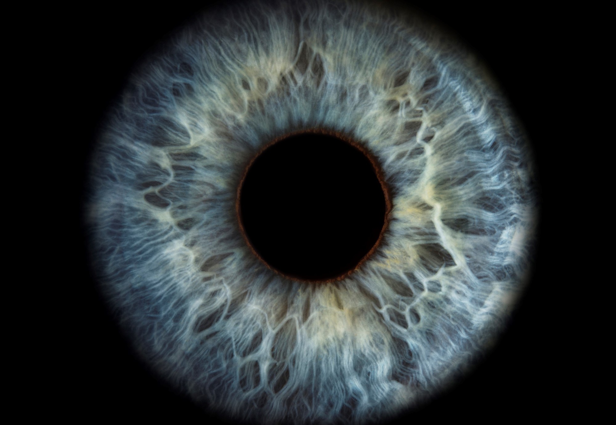 An extreme close-up of an eye, showing the iris and retina